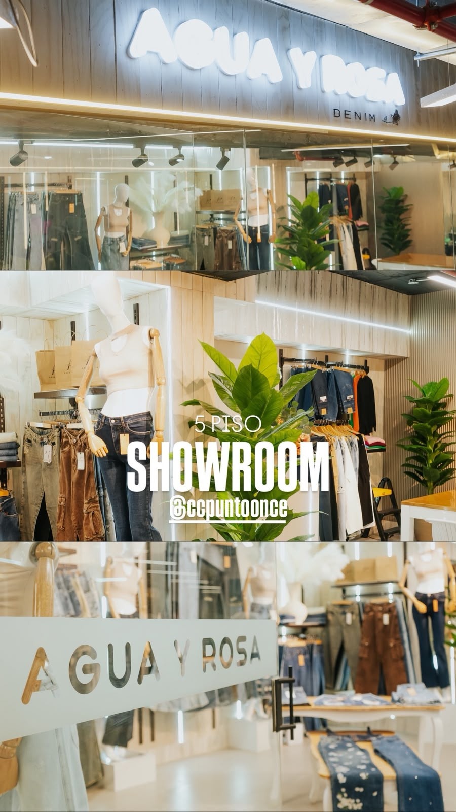 Show room